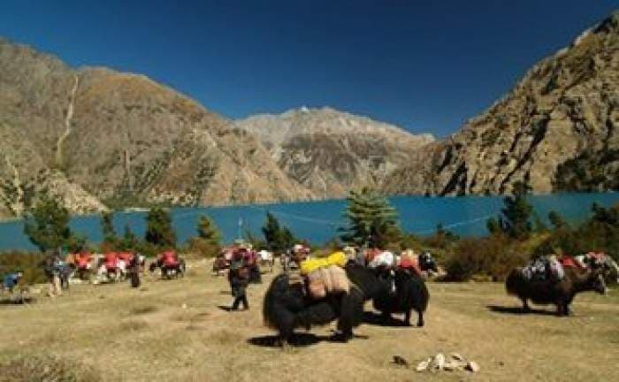 Dolpo to Mugu