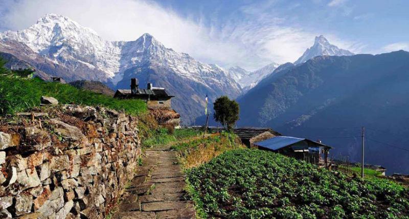 Enjoy a Lot by Choosing the Best Nepal Tour Package