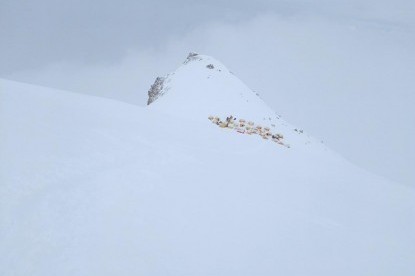 Mt. Manaslu Summit