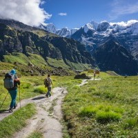 Choose Our Affordable Annapurna Base Camp Trekking Tour Package