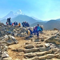 Everest Base Camp Trekking 2021