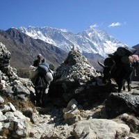 Jiri to Everest Base Camp