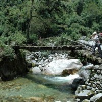 Wooden bridge on the way to Kanchenjunga Base Camp
