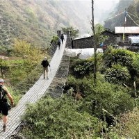 Crossing bridge - Langtang Trek