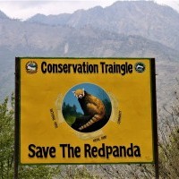Save the RedPanda Campaign - Langtang Nepal