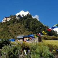 Trek up to Mt. Manaslu, cross the Larkya La pass and admire the rich biodiversity of the region